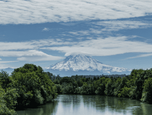 Court Rules “Temporary” Structure at Electron Dam Site Violates Endangered Species Act
