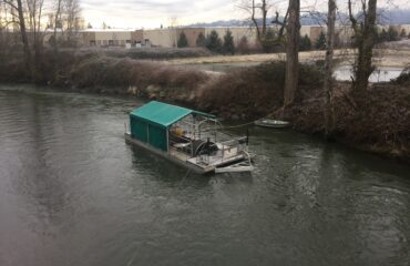 Monitoring smolts on the Puyallup River
